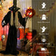 Animatronics Standing Witch, Voice-Activated Prop, Sound Activated Moving Head & Flashing Eyes, Easy Setup Indoor, Black EX-STOCK Canada 