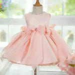 Elegant Princess Birthday girl dress Party dress flower girl dress - EX-STOCK CANADA