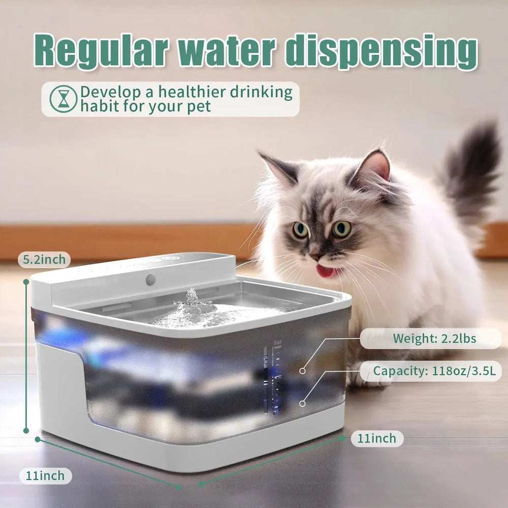 Pet Cat Dog Water Dispenser - EX-STOCK CANADA
