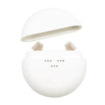 K419 Hearing Aid - EX-STOCK CANADA