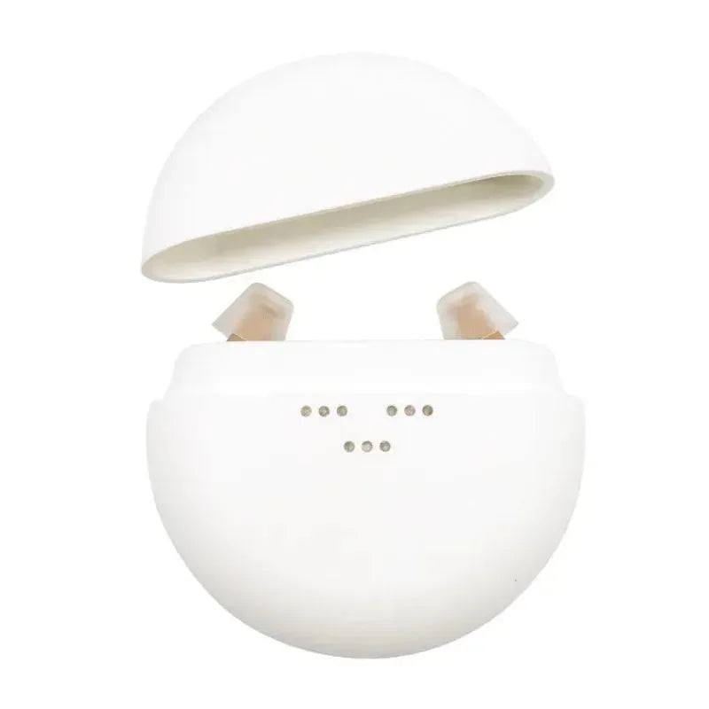 K419 Hearing Aid - EX-STOCK CANADA