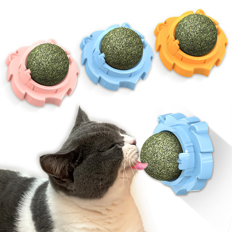 Cat playing with a green ball in a blue holder on a white background