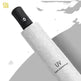 Black Gum Sunscreen Anti Ultraviolet Umbrella Advertising Umbrella Daisy Umbrella Umbrella Girl - EX-STOCK CANADA