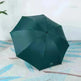 Black Gum Sunscreen Anti Ultraviolet Umbrella Advertising Umbrella Daisy Umbrella Umbrella Girl - EX-STOCK CANADA