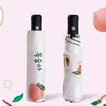 Black Gum Sunscreen Anti Ultraviolet Umbrella Advertising Umbrella Daisy Umbrella Umbrella Girl - EX-STOCK CANADA