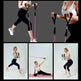 Bodhi Stick Latex Fitness Equipment Rally Set - EX-STOCK CANADA