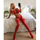 Bowknot lace sexy lingerie set - EX-STOCK CANADA