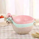 Cute Tiny Dinosaur Bowls - EX-STOCK CANADA