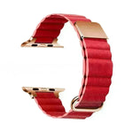 Multi-Color Magnetic Back Buckle Watch Strap