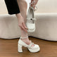 French Style Super High Heel Retro Mary Janes For Women  2026 Spring New Fashion Versatile Platform Block Heel Pumps 