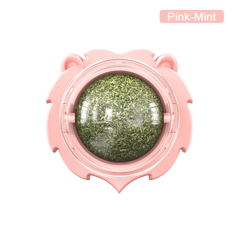 Pink container with a green ball inside on a white background