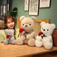 New Lovely Hug Roses Teddy Bear Stuffed Soft Animal Dolls Nice Birthday Gift Girlfriend Valentine's Day - EX-STOCK CANADA