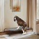 50D X 31W X 8H Dog Bed EX-STOCK