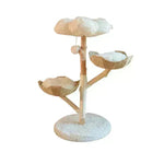 Árbol de frutas naturales Cat marco de trepapor