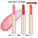 PHOFAY Juicy Lip Plump – Hydrating & Plumping Lip Treatment (13 Shades)