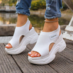 Summer Fishmouth Chunky Wedge Sandals Women's Casual Breathable Footwear Daily Shoes 