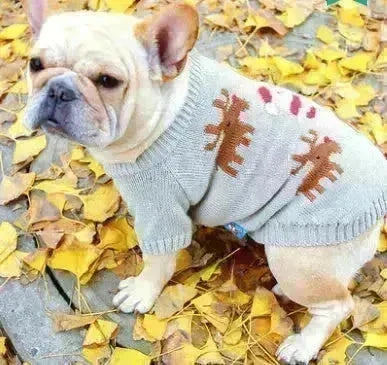 Christmas pet dog sweater - EX-STOCK CANADA