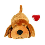 Fashion Hot Selling Pet Comfort Toys - EX-STOCK CANADA
