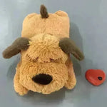 Fashion Hot Selling Pet Comfort Toys - EX-STOCK CANADA