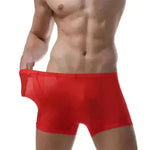 Ice Silk Transparent Elastic Boxer briefs Pant underwear for men