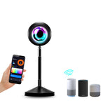 Sunset Projection Lamp Sunset Projector Night Light Wall Decoration Lighting EX-STOCK Canada 