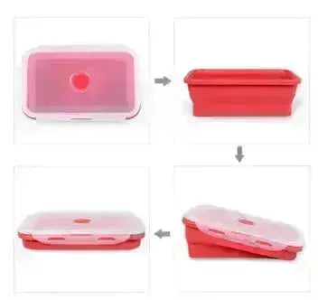 Folding lunch box - EX-STOCK CANADA