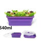 Folding lunch box - EX-STOCK CANADA