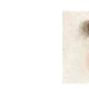 Four-Forked Water Eyebrow Pencil Four-Head Eyebrow Pencil - EX-STOCK CANADA