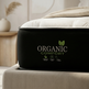 ARY Organic+ Mattress Combo 