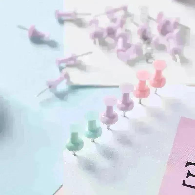 Macaron Color Boxed Push Pin Simple Creative Large Small Size Plastic Pushpin Office Supplies - EX-STOCK CANADA