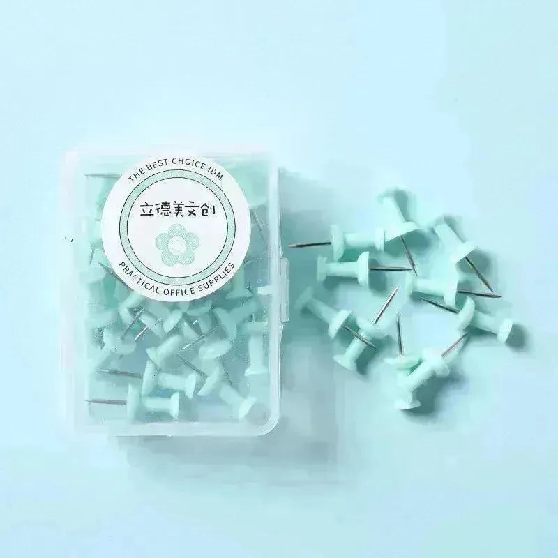 Macaron Color Boxed Push Pin Simple Creative Large Small Size Plastic Pushpin Office Supplies - EX-STOCK CANADA