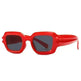 Modern Sunglasses Street Shooting Model Square Female - EX-STOCK CANADA