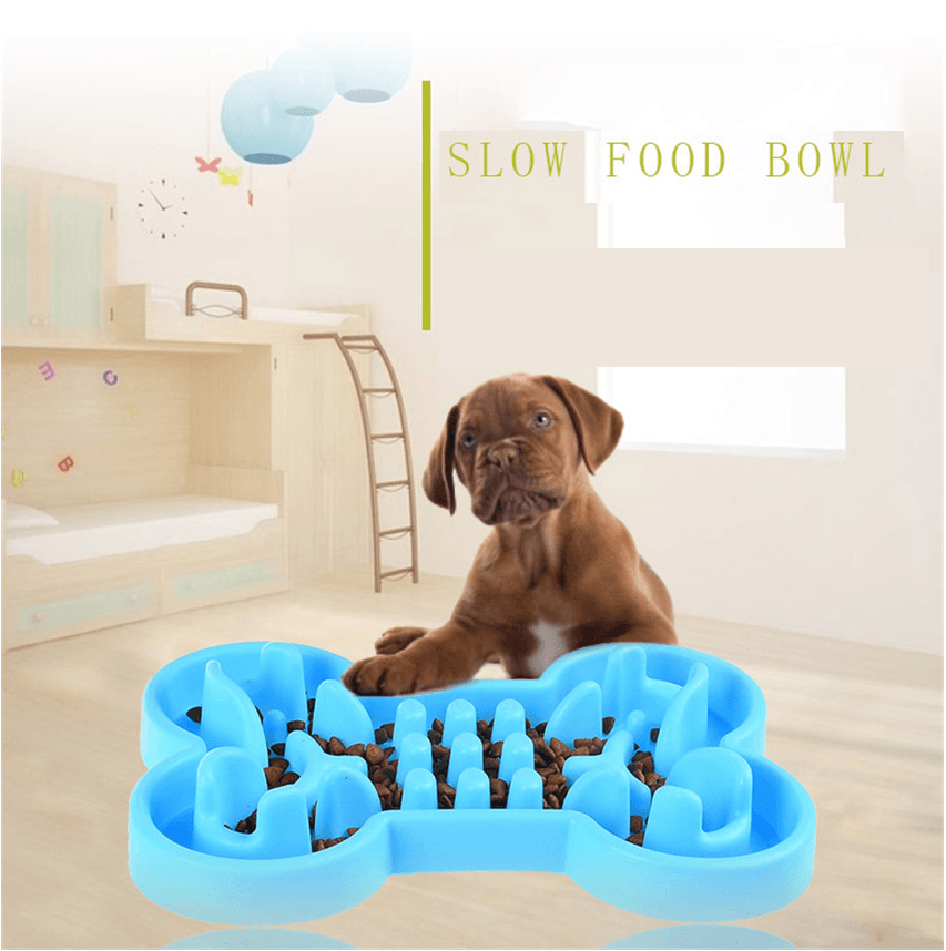 Pet Dog Slow Food Feeder Anti Choke Travel Bowl - EX-STOCK CANADA