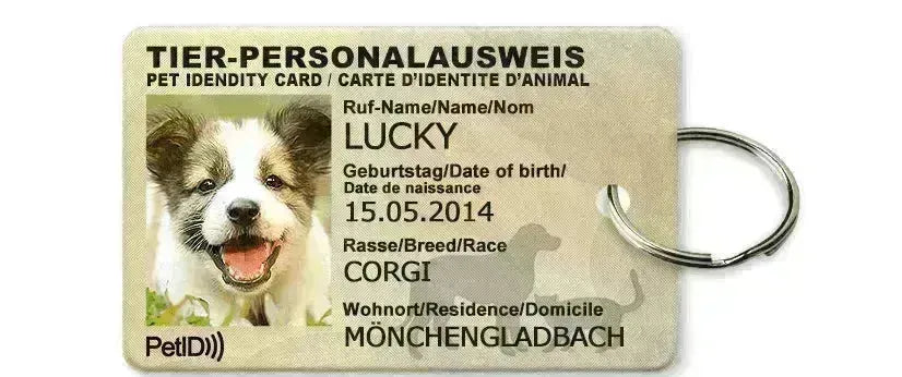 Pet ID card - EX-STOCK CANADA