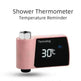 Plastic Visual Shower Faucet No Power Consumption Water Thermometer Bath - EX-STOCK CANADA