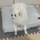 Waterproof Dog Bed for Small, Medium and Large Pets, Washable Dog and Cat Sleeping Mat
