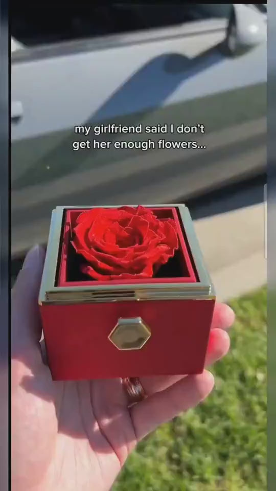 1.mp4