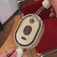 Mist Spray Airbag Massage Comb – Electric Hair Nourishing Brush with Essential Oil Atomization