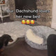 1.mp4