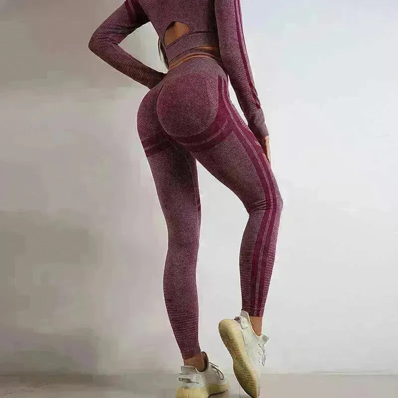 Seamless Yoga Pants Sports Gym Fitness Leggings Or Long Sleeve Tops Outfit - EX-STOCK CANADA
