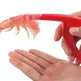 Shrimp Peeler Kitchen Appliances Portable Stainless Steel Shrimp Deveiner Lobster Practical Kitchen Supplies Fishing Knife Tools - EX-STOCK CANADA