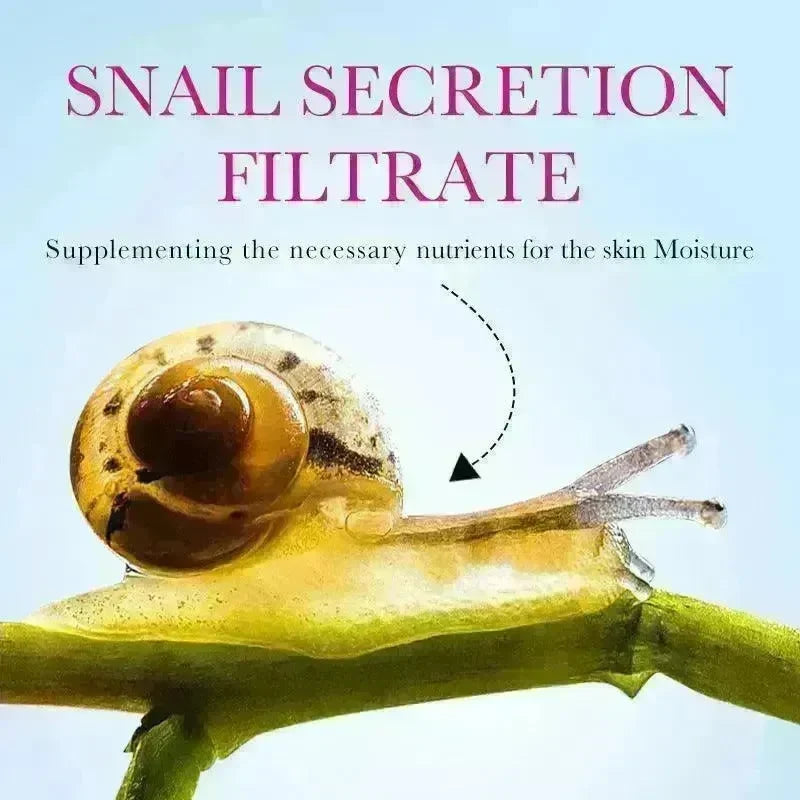 Snail Recombinant Collagen Anti-wrinkle Face Cream - EX-STOCK CANADA