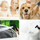 Toilet Spray Cleaner Stainless Steel Toilet Gun Set For Domestic Use - EX-STOCK CANADA