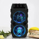 Wireless Bluetooth Speaker Dual Speakers Outdoor Portable Loud Speaker - EX-STOCK CANADA