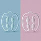Yoga Massage Circular Clip Small Leg Massager - EX-STOCK CANADA