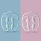 Yoga Massage Circular Clip Small Leg Massager - EX-STOCK CANADA