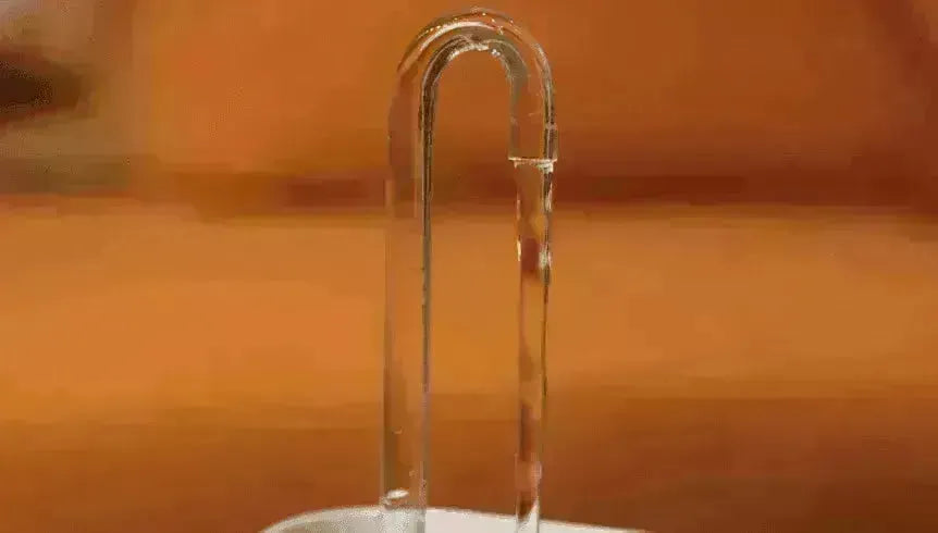 Pet Water Dispenser & Water Filter with a Fountain - EX-STOCK CANADA